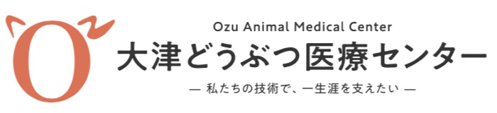 【大津どうぶつ医療センター】熊本県菊池郡の身近で快適な動物病院